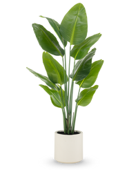 Kunstplant Strelitzia Real Touch kant en klaar in pot beige 150 cm
