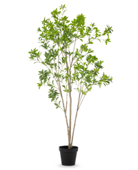 Kunstplant Pieris Japonica 210 cm