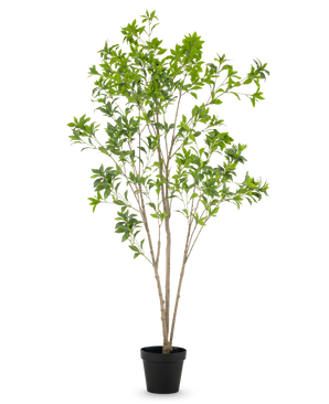 De Kunstplant Pieris Japonica 210 cm heeft meerdere slanke bruine stelen en overvloedige groene bladeren, gepresenteerd in een hoge pot tegen een effen witte achtergrond.