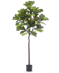Kunstplant Ficus Tabaksplant Deluxe 215 cm