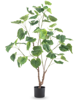 De Kunstplant Ficus 120 cm is een hoge kunstplant met meerdere slanke takken en grote, hartvormige groene bladeren, in een eenvoudige zwarte pot tegen een witte achtergrond.