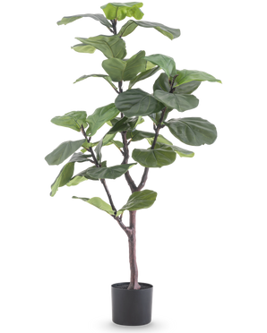 De Kunstplant Ficus Tabaksplant Deluxe 125 cm heeft grote, glanzende groene bladeren en een slanke bruine stam in een zwarte pot, die een Afrikaanse sfeer toevoegt als groene kamerplant tegen een witte achtergrond.