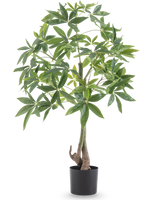 De Kunstplant Pachira 120 cm heeft een gevlochten stam en weelderige groene bladeren in een zwarte pot, tegen een effen witte achtergrond.