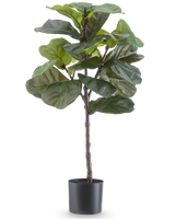 De Kunstplant Ficus Tabaksplant Deluxe 90 cm is een hoge kunstkamerplant met grote, glanzend groene bladeren in een zwarte pot, afgebeeld tegen een effen witte achtergrond.