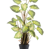 De Kunstplant Alocasia Odora 90 cm heeft grote, groene, hartvormige bladeren en meerdere stelen in een eenvoudige zwarte pot, tegen een effen witte achtergrond.