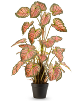 De Kunstplant Caladium 90 cm roze is een potplant met grote, hartvormige bladeren met groene randen en roze harten, rechtop gepresenteerd in een zwarte pot tegen een witte achtergrond.