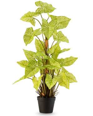 De Kunstplant Trapa Bispinosa 90 cm wit is een kunstplant in pot met levendige lichtgroene bladeren en opvallende bleke nerven, gerangschikt in een compacte zwarte pot en afgebeeld tegen een effen witte achtergrond.