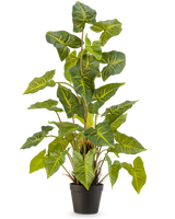 De Kunstplant Trapa Bispinosa 90 cm groen is een potplant met grote, groene, hartvormige bladeren met gele nerven, in een zwarte pot tegen een effen lichte achtergrond.