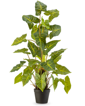De Kunstplant Trapa Bispinosa 90 cm groen is een potplant met grote, groene, hartvormige bladeren met gele nerven, in een zwarte pot tegen een effen lichte achtergrond.