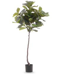 Kunstplant Ficus Tabaksplant Deluxe 180 cm