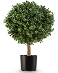 Kunstplant Buxus op stam romeinse stijl UV 65cm