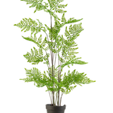 De Kunst varen plant 85 cm heeft delicate, vederlichte groene bladeren en meerdere lange, slanke stelen, gepresenteerd in een pot tegen een effen witte achtergrond.