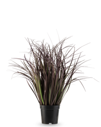 Kunst Grasplant Wild Lawn 50 cm brandvertragend