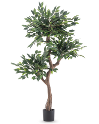 Kunstplant Ficus Crazy 150 cm