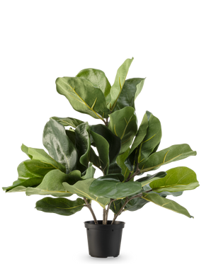 De Kunstplant Tabaksplant Fiddle Leaf UV 45 cm heeft grote, glanzende groene bladeren en dikke stelen in een zwarte plastic pot, tegen een effen witte achtergrond.