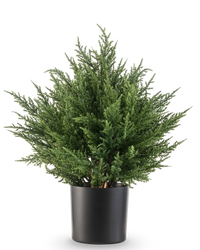 Kunstplant Conifeer UV 40 cm
