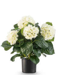 Kunstplant Hortensia UV 43 cm wit