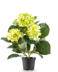 Kunstplant Hortensia Groen UV 35 cm