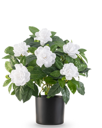 Kunstplant Gardenia UV 39 cm wit