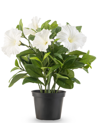 De Kunstbloem Petunia plant UV 25 cm groot heeft grote witte trompetvormige bloemen en weelderige groene bladeren in een zwarte plastic pot, tegen een effen witte achtergrond.