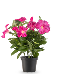 Kunstbloem Petunia plant UV 25 cm donker roze