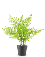 De Kunstplant Varen 35 cm is een kunstmatige groene varen met delicate, veerachtige bladeren in een eenvoudige zwarte plastic pot, tegen een effen witte achtergrond.