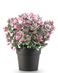 Kunstplant Eucalyptus paars in pot UV 22 cm