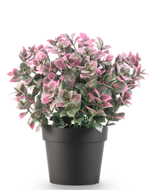 De Kunstplant Eucalyptus paars in pot UV 22 cm heeft paarse eucalyptusbladeren in een donkere pot, tegen een effen witte achtergrond.