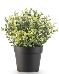 Kunstplant Buxus groen in pot UV 19 cm