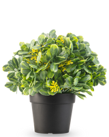 De Kunstplant Groen/geel UV 21 cm heeft groene bladeren en kleine gele bloemen in een effen zwarte pot, tegen een witte achtergrond.