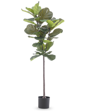 De Kunstplant Ficus Tabaksplant Deluxe 155 cm heeft brede groene bladeren en wordt geleverd in een zwarte pot, afgebeeld tegen een effen witte achtergrond.