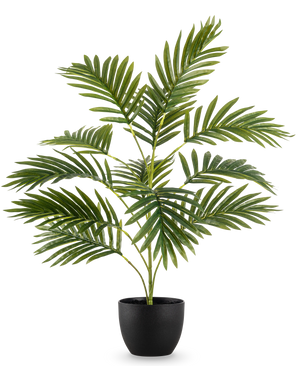 De Kunstpalm Phoenix 65 cm, met weelderige groene bladeren, staat in een strakke zwarte sierpot tegen een effen witte achtergrond.