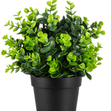 De Kunstplant Groen in pot UV 22 cm is een kleine, levendige groene kunstplant met dichte, ronde bladeren in een eenvoudige zwarte pot, afgebeeld tegen een effen witte achtergrond.