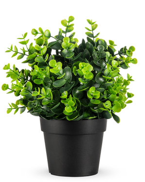 De Kunstplant Groen in pot UV 22 cm is een kleine, levendige groene kunstplant met dichte, ronde bladeren in een eenvoudige zwarte pot, afgebeeld tegen een effen witte achtergrond.