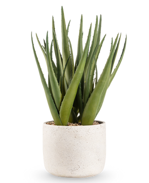 De Kunstplant Aloë Vera 43 cm heeft lange, puntige groene bladeren in een kleine, ronde pot met witte structuur en kiezels, tegen een effen witte achtergrond.