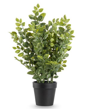 De Kunstplant Groen 35 cm is een realistische kunstplant in pot met weelderige groene bladeren in een eenvoudige zwarte pot, afgebeeld tegen een effen witte achtergrond.