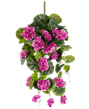 De Kunst hangplant Geranium 75 cm paars heeft weelderige groene bladeren en trossen levendige paars-magenta bloemen met witte randen, die sierlijk naar beneden vallen aan een verticale steel voor een prachtig hangend display.