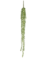 De Kunst hangplant Senecio 91 cm heeft lange, slingerende strengen met kleine ronde groene bladeren, die verticaal hangen tegen een effen witte achtergrond.