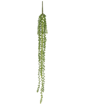 De Kunst hangplant Senecio 91 cm heeft lange, slingerende strengen met kleine ronde groene bladeren, die verticaal hangen tegen een effen witte achtergrond.