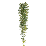 De Kunst hangplant Pumila 96 cm heeft kleine ronde groene blaadjes die aan één bruine stengel hangen, waardoor een levensecht trailing effect ontstaat. Afgebeeld tegen een witte achtergrond voegt deze kunstplant groen toe zonder onderhoud.