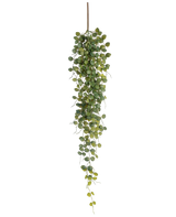 De Kunst hangplant Pumila 96 cm heeft kleine ronde groene blaadjes die aan één bruine stengel hangen, waardoor een levensecht trailing effect ontstaat. Afgebeeld tegen een witte achtergrond voegt deze kunstplant groen toe zonder onderhoud.