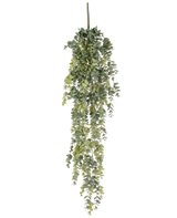 De Kunst hangplant Eucalyptus 60 cm heeft realistische, kleine ronde groene bladeren die naar beneden vallen, waardoor een levensechte kunstmatige eucalyptus ontstaat tegen een effen witte achtergrond.