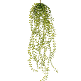 De Kunst hangplant Jasmin 63 cm is een kunst hangplant met lange, hangende stengels van kleine, ronde groene blaadjes, hangend aan een enkele bruine stengel tegen een witte achtergrond.