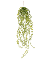 De Kunst hangplant Jasmin 63 cm is een kunst hangplant met lange, hangende stengels van kleine, ronde groene blaadjes, hangend aan een enkele bruine stengel tegen een witte achtergrond.