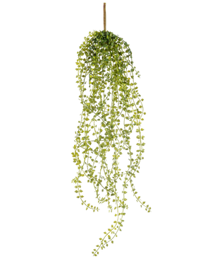 De Kunst hangplant Jasmin 63 cm is een kunst hangplant met lange, hangende stengels van kleine, ronde groene blaadjes, hangend aan een enkele bruine stengel tegen een witte achtergrond.