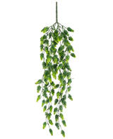 De Kunst hangplant Hop UV 80 cm is een hangende kunstplant met trapsgewijze groene bladeren aan lange, slanke stelen, geïsoleerd afgebeeld op een witte achtergrond.