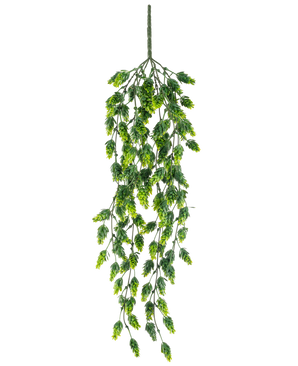 De Kunst hangplant Hop UV 80 cm is een hangende kunstplant met trapsgewijze groene bladeren aan lange, slanke stelen, geïsoleerd afgebeeld op een witte achtergrond.