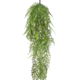 De Kunst hangplant Asparagus 78 cm heeft lange, delicate groene bladeren die naar beneden vallen, waardoor een weelderig, levensecht beeld ontstaat tegen een effen witte achtergrond.