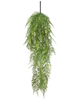 De Kunst hangplant Asparagus 78 cm heeft lange, delicate groene bladeren die naar beneden vallen, waardoor een weelderig, levensecht beeld ontstaat tegen een effen witte achtergrond.