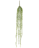 De Kunst hangplant Senecio 91 cm heeft lange, hangende stengels met kleine groene blaadjes, waardoor een elegante kunst hangplant ontstaat tegen een effen witte achtergrond.